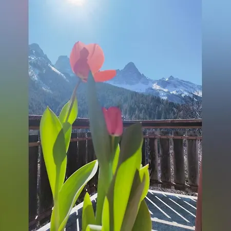 Апартаменты Il Terrazzo Sulle Dolomiti Чибьяна