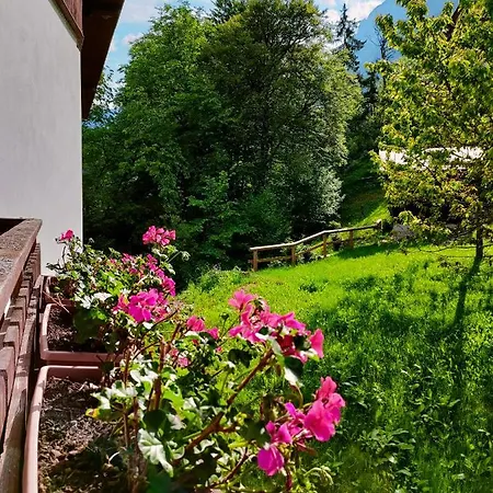 Il Terrazzo Sulle Dolomiti * 씨비아나