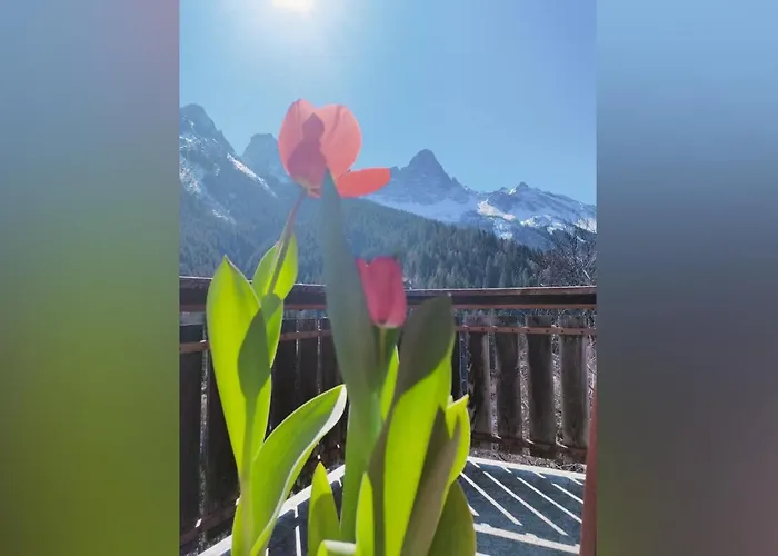 Appartement Il Terrazzo Sulle Dolomiti Cibiana